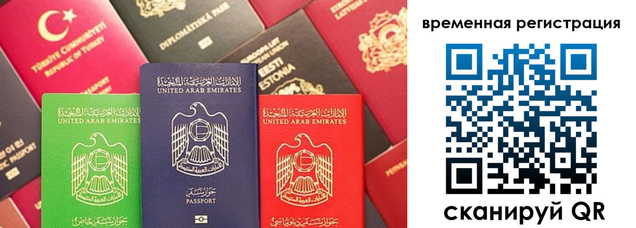 временная регистрация гарантия в Тавде